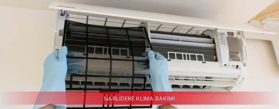 Narlıdere İlçemi Awox Klima Bakımı